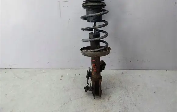 Opel Vectra C Front shock absorber with coil spring 