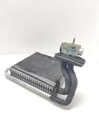Ford C-MAX II Air conditioning (A/C) radiator (interior) AV6N19849AB