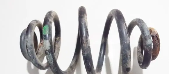 Rear coil spring