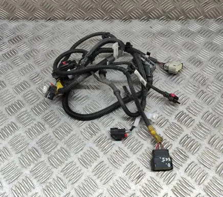 Tesla Model 3 Other wiring loom 206796801B