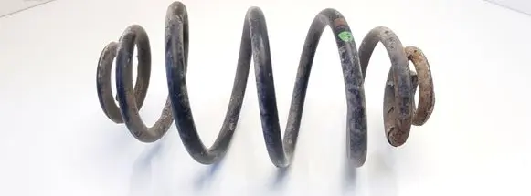 Volkswagen PASSAT B5.5 Rear coil spring