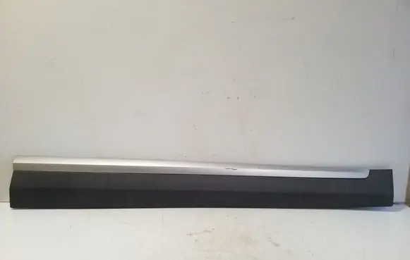 MG ZS Front door trim (molding) 10360766