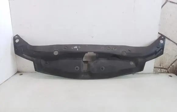 Engine bonnet/hood lock trim molding