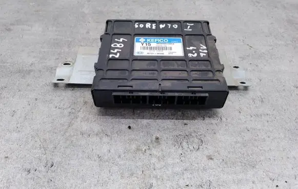 Engine control unit/module ECU