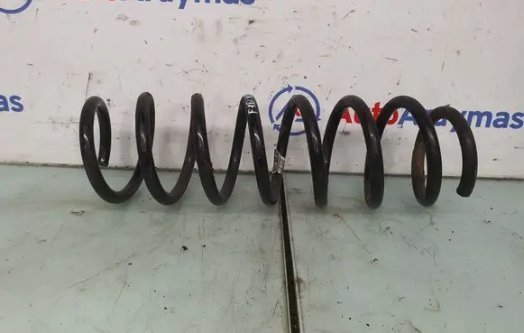 Rear coil spring