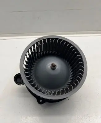 Hyundai Santa Fe Heater fan/blower F00S3B2431 121108