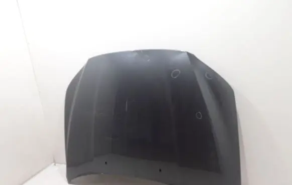 Engine bonnet/hood