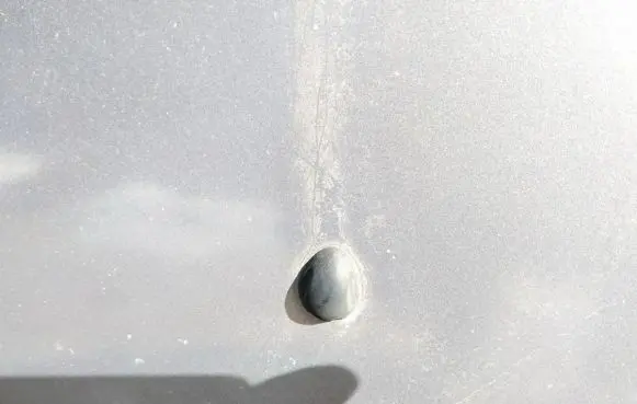 Renault Scenic I Windshield washer spray nozzle 