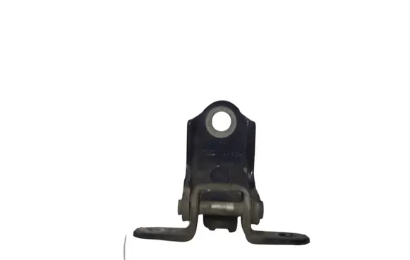Ford Fiesta Rear door lower hinge