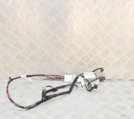 Tesla Model X Other wiring loom 103243100E