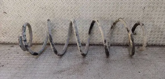Renault Laguna III Rear coil spring