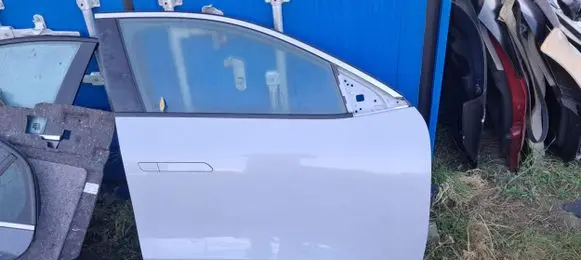 Renault Megane I Front door