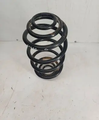Rear coil spring