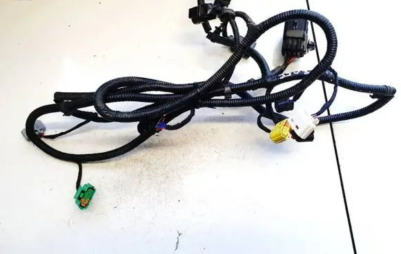 KIA EV6 Other wiring loom n408a33v