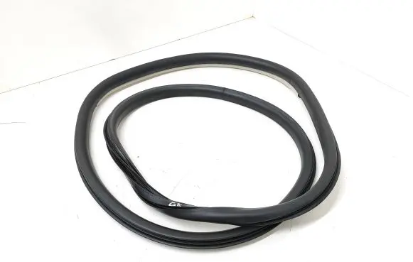 Renault Talisman Rear door rubber seal (on body) 