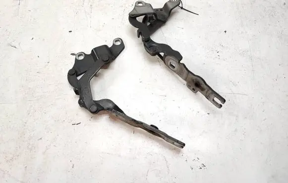 BMW 1 E82 E88 Engine bonnet/hood hinges 7060559 7060560