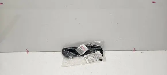 Dacia Lodgy Wiper trim 668666795R