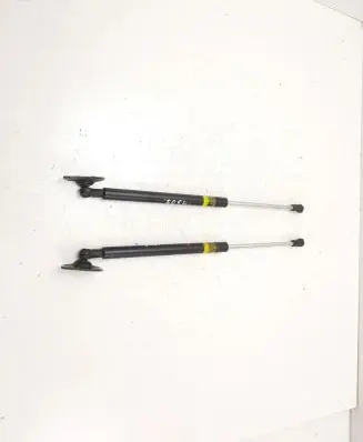 Tailgate strut