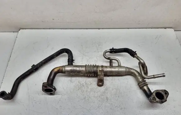 Toyota RAV 4 (XA20) EGR valve cooler