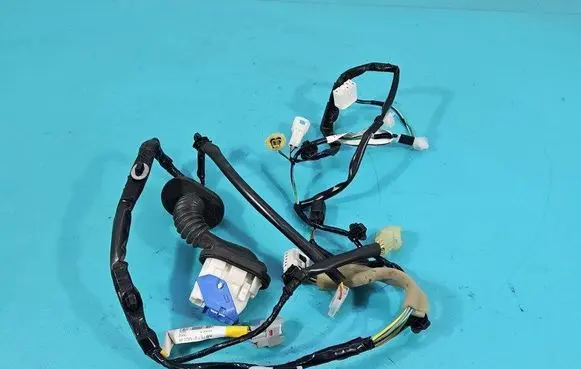 Front door wiring loom