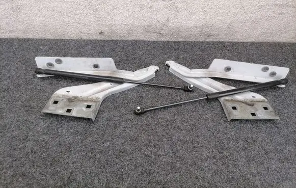 Jaguar F-Pace Engine bonnet/hood hinges HK8316801 HK8316800