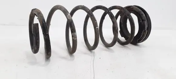 Hyundai i20 (PB PBT) Rear coil spring