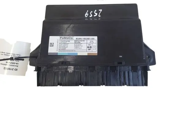 Keyless (KESSY) go control unit/module
