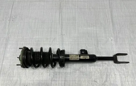 Alfa Romeo Giulia Rear shock absorber with coil spring 50534547