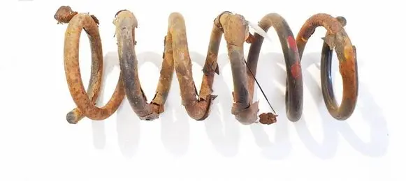Rear coil spring