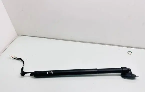 Tailgate/trunk strut/damper