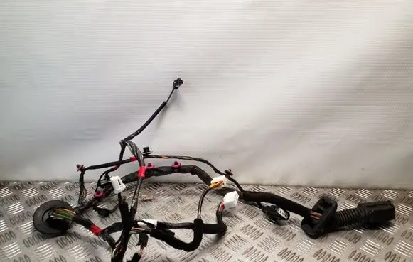 KIA Sorento Front door wiring loom 916012P311