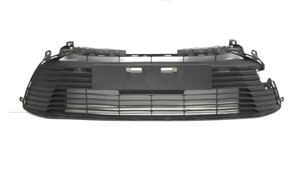 Toyota Corolla E210 E21 Front bumper lower grill 5311202B50