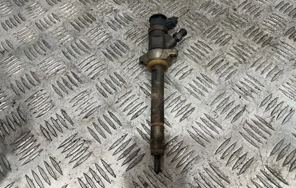 Peugeot Partner Fuel injector 0445110311