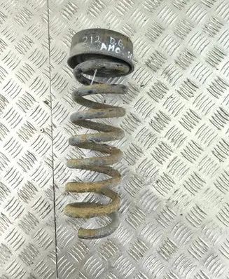 Rear coil spring
