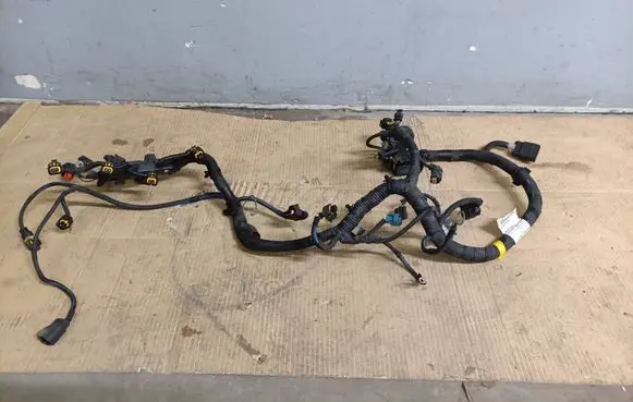 Fiat 500L Wiring harness 00552536070