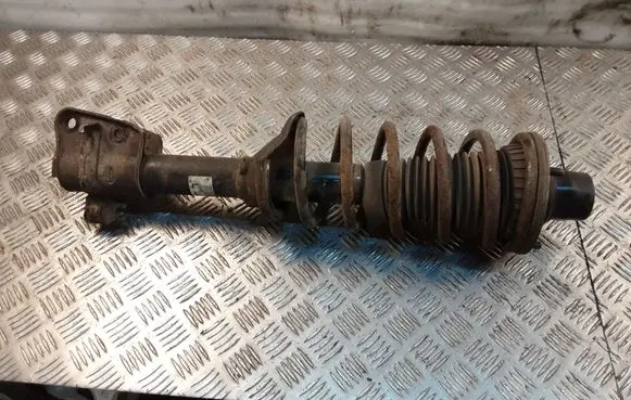 Land Rover Freelander Rear shock absorber with coil spring 