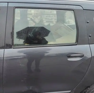 Dacia Lodgy Rear door