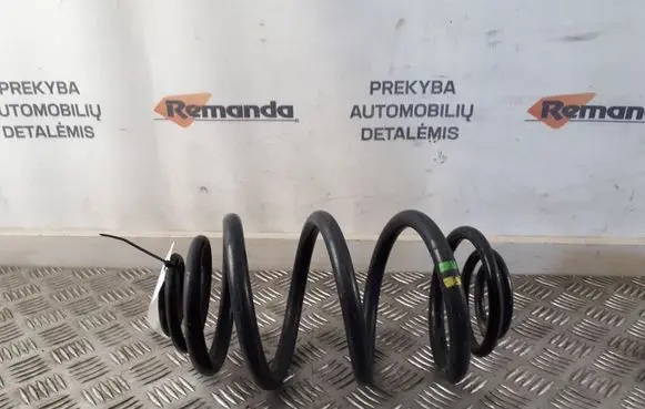 Rear coil spring