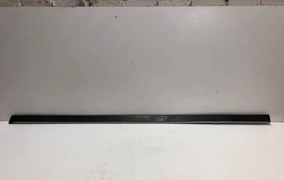 BMW 5 E39 Front door trim (molding) 8159296