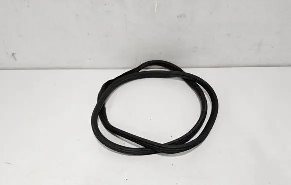 Fiat Tipo Rubber seal rear door 52102249