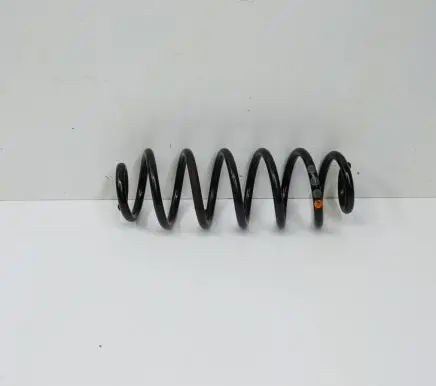 Rear coil spring