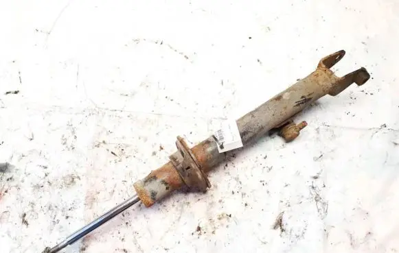 Dodge Magnum Front shock absorber/damper