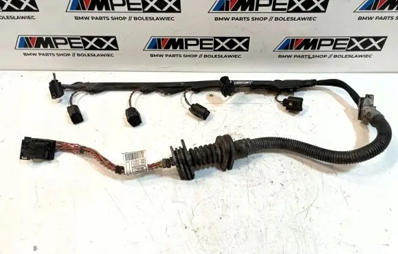 BMW X6 E71 Other wiring loom