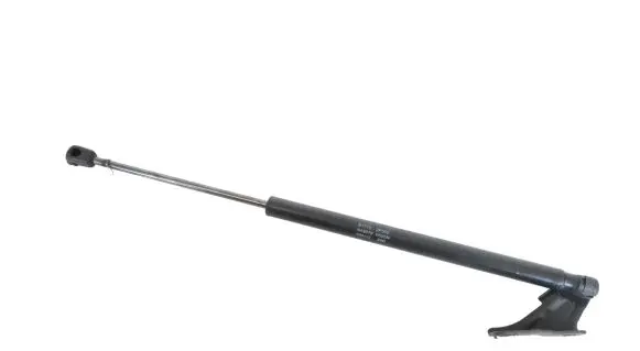Tailgate/trunk strut/damper
