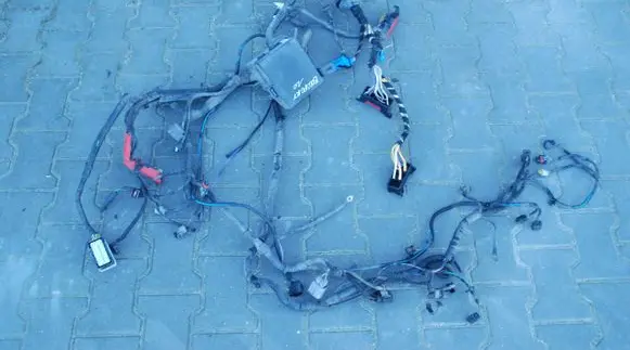Ford Ecosport Engine installation wiring loom DN1T14K012