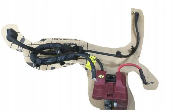 Chevrolet Aveo Positive wiring loom 