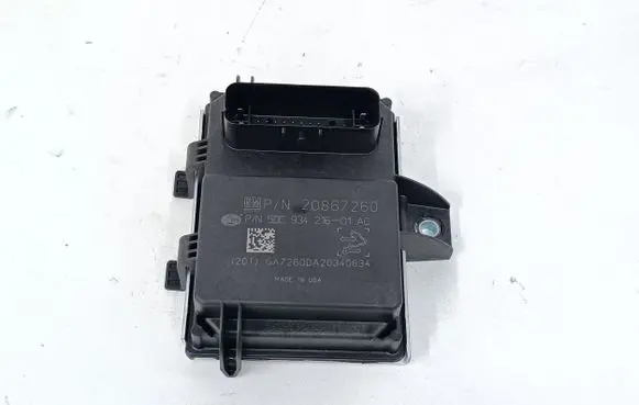 Opel Ampera Fuel injection pump control unit/module 20867260 5DE93421601AC