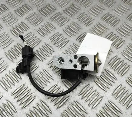 Tesla Model S Air conditioning (A/C) expansion valve 101954400B