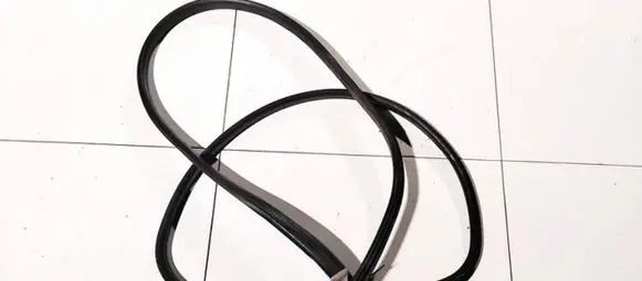 Renault Scenic III - Grand scenic III Rubber seal front coupe door 