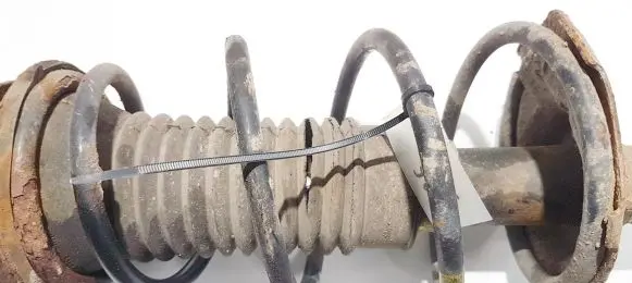 Front coil spring